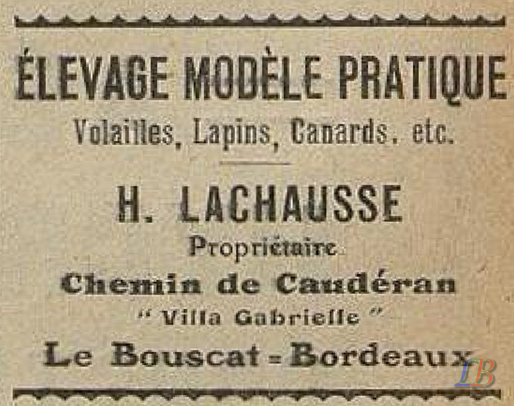 Site internet Lou Boscat